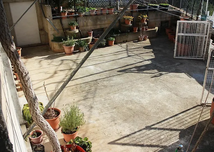 Teraferma * 코미자