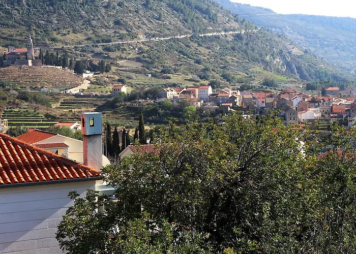 Teraferma * 코미자