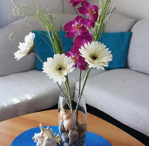 Teraferma 아파트 코미자